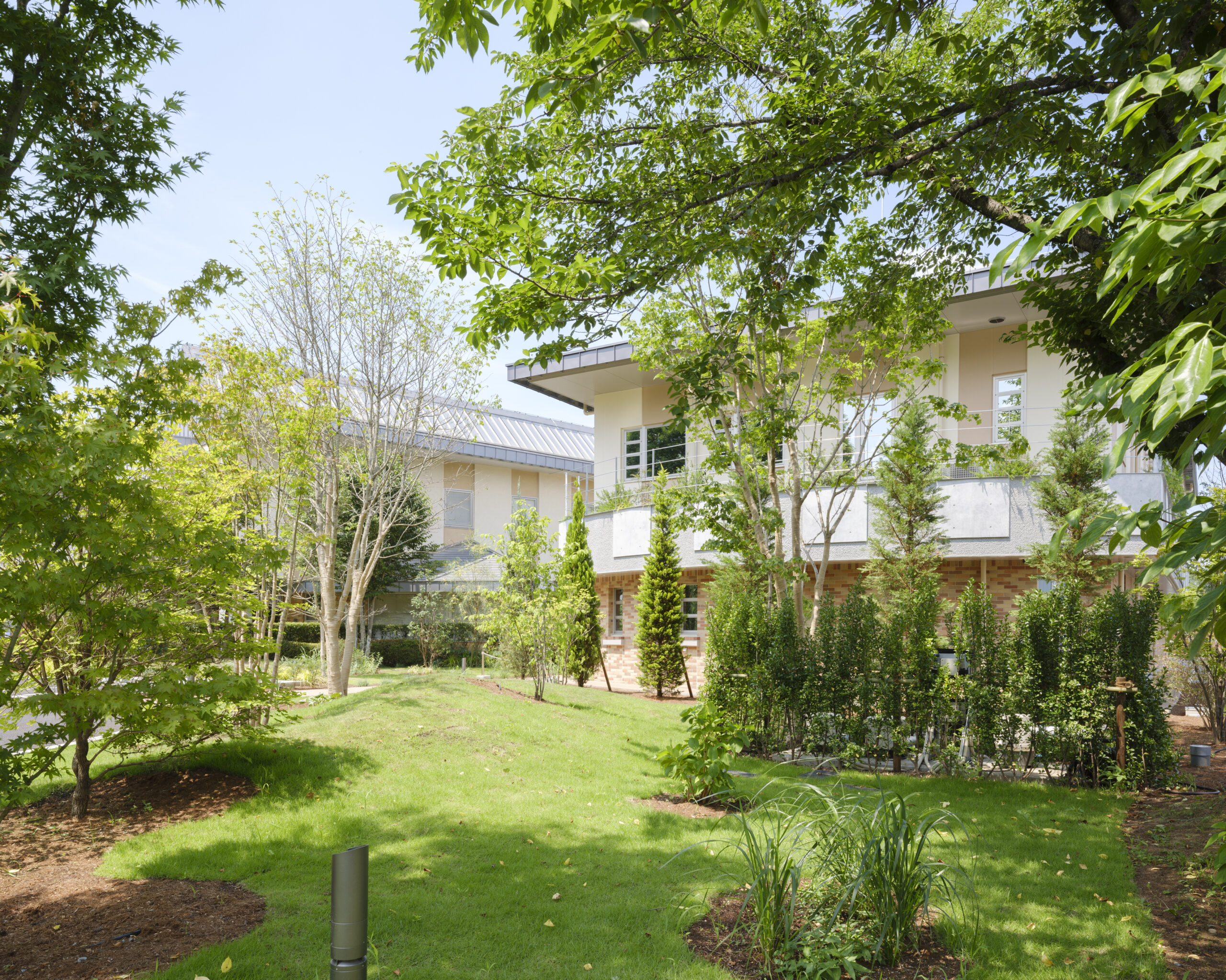 岡村記念クリニック 増築５